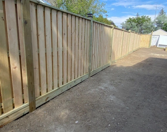 Fencing 2